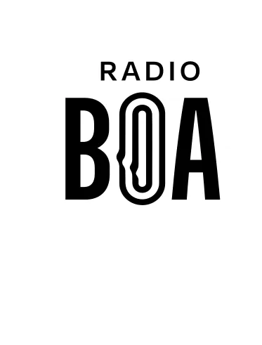 BOA logo